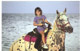 Grand Cayman horseback beach rides