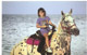 Grand Cayman horseback beach rides