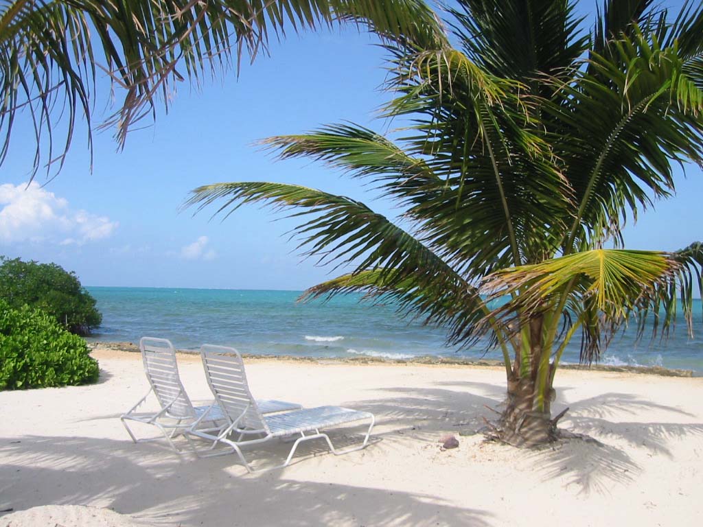 http://www.grandcaymantimeshare.com/gc_beach2.JPG