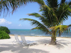 Grand Caymanian Beach